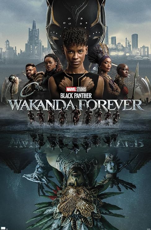 Black Panther Wakanda Forever - HTFlix